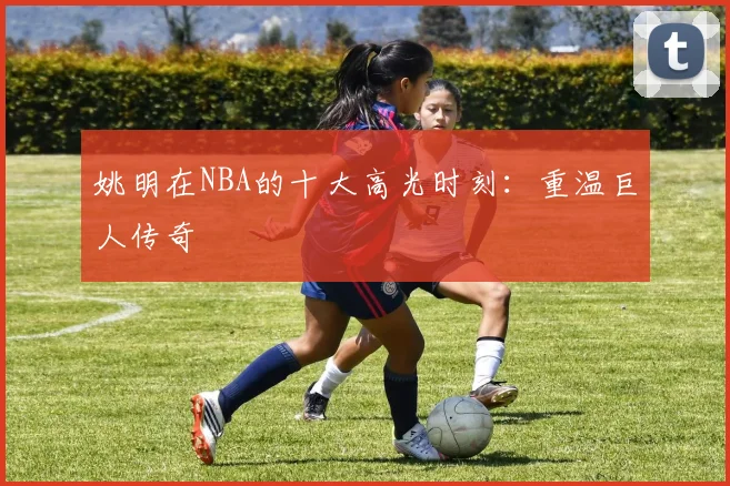 姚明在NBA的十大高光时刻：重温巨人传奇