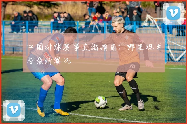 中国排球赛事直播指南:哪里观看与最新赛况